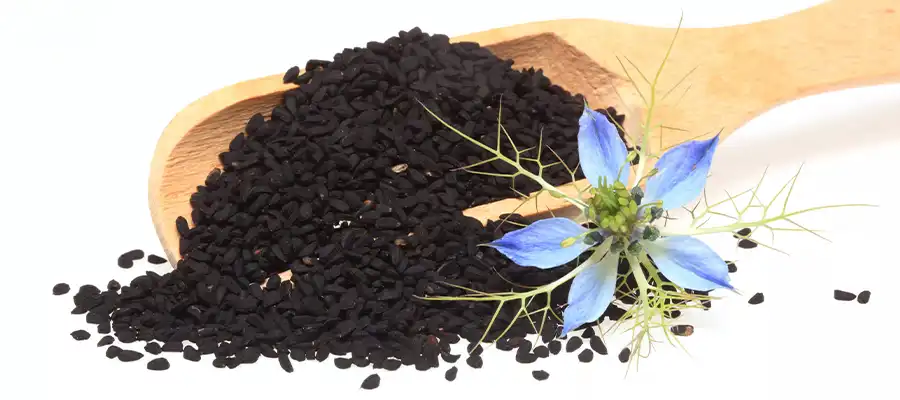 Descubriendo el Poder del Comino Negro: La Sustancia Antiinflamatoria que Debes Conocer