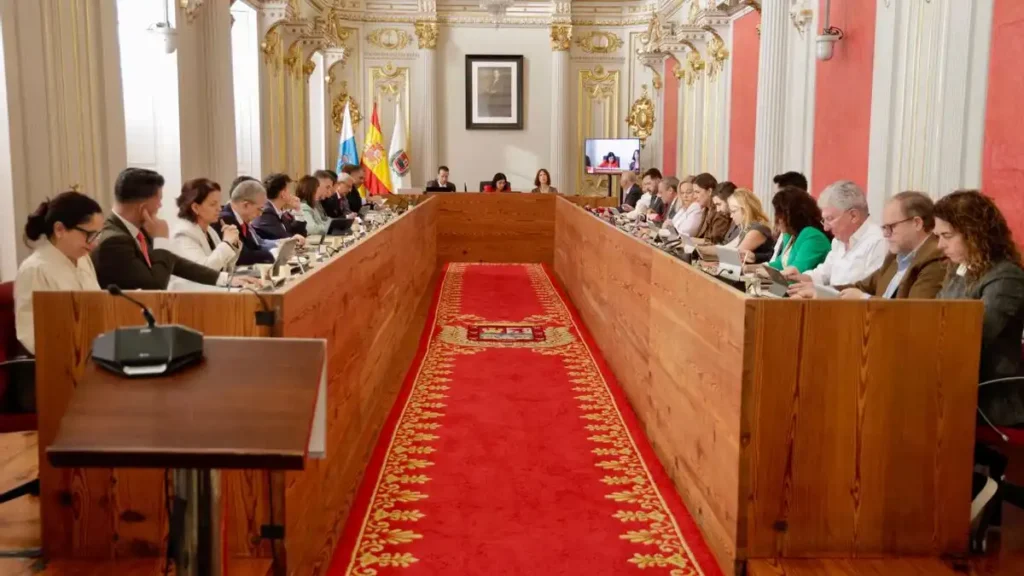 El Debate sobre la Nueva Ley de Conciliación en Canarias: ¿Un Avance o una Ilusión?