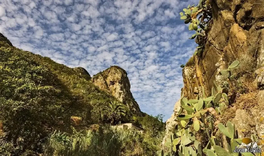 El Draguillo: Un Refugio en la Naturaleza de Anaga