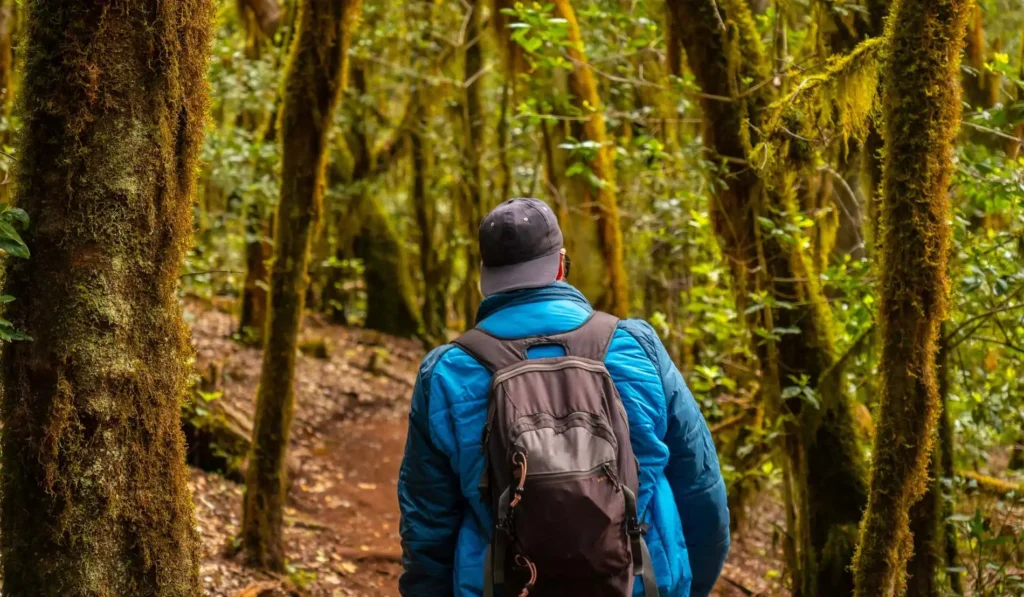 Explorando las Rutas de Senderismo en Tenerife: Un Paraíso Natural