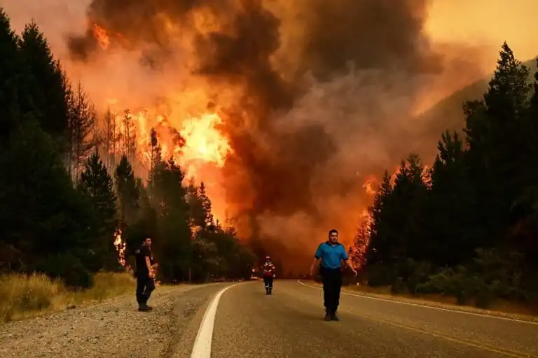Incendios en la Patagonia: Un Desafío Climático y Político en Argentina