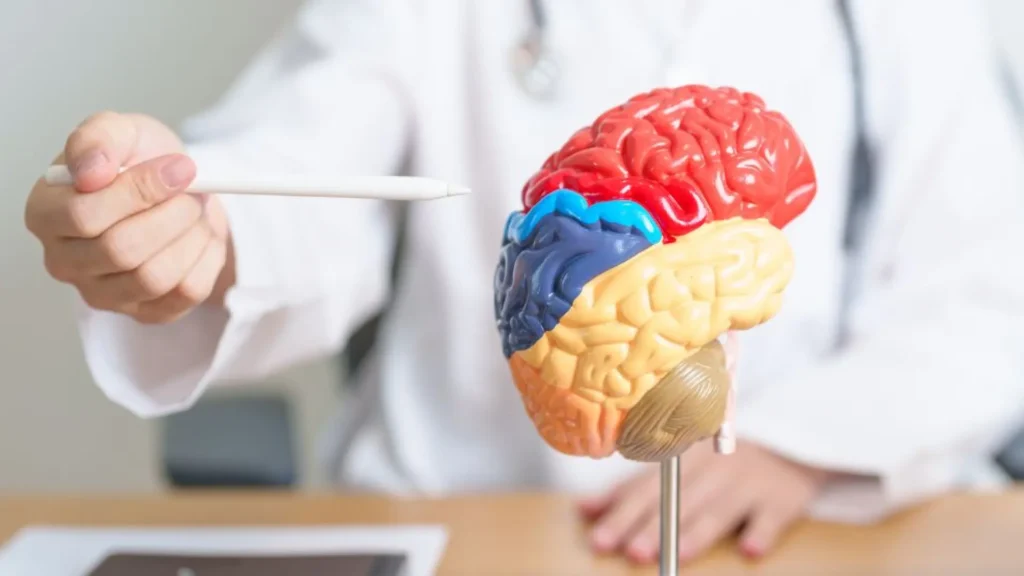 Innovaciones en la Impresión 3D: Creando Arterias para Comprender los Accidentes Cerebrovasculares