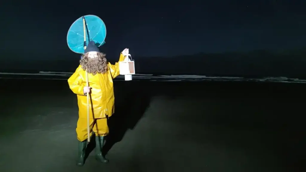 La Magia de la Navidad en Asturias: El Recorrido de L’Anguleru