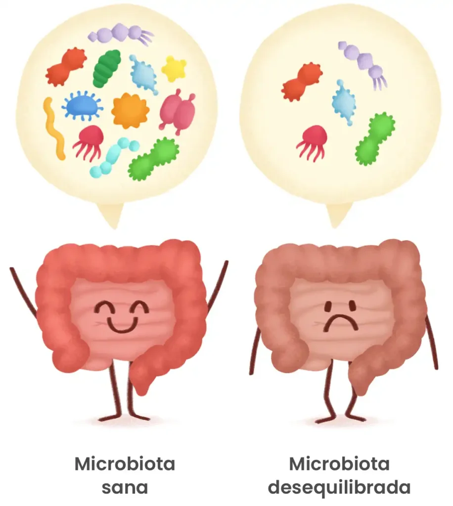 La Microbiota Intestinal: El Guardián Silencioso de Nuestra Salud