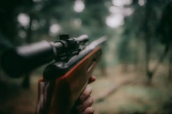La ONU y la Protección de la Infancia: Un Llamado a Revisar la Caza con Armas en España