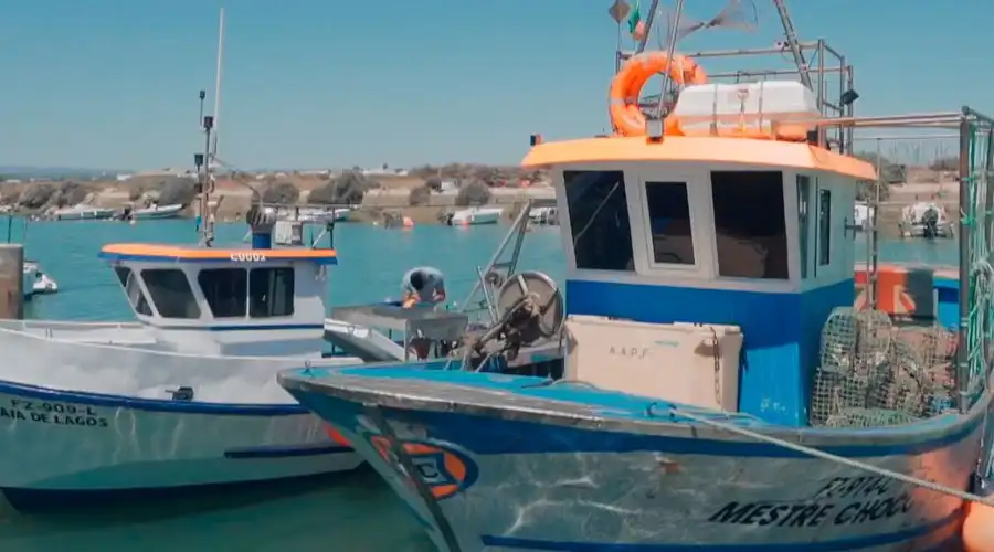 Pesca furtiva en La Graciosa: 230 kg de pescado intervenidos y nasas prohibidas