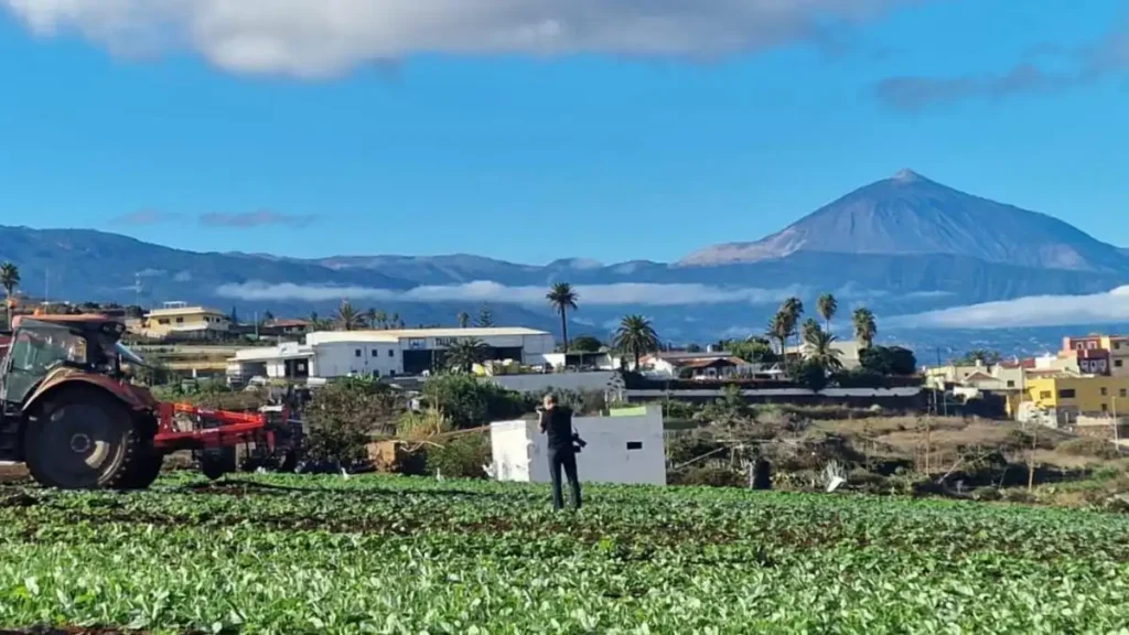SAT Canarisol: Un Nuevo Horizonte para la Agricultura en Canarias