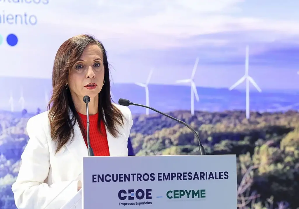 Modelo integrado Red Eléctrica: ¿por qué no se debe separar operación y red?